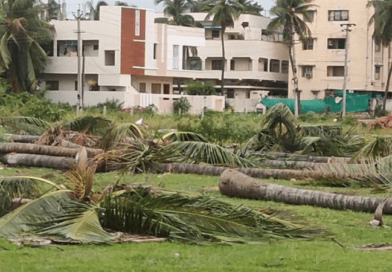 Janasena President Mr. Pawan Kalyan has today reacted to the manner in which trees are being cut on the occasion of Chief Minister Jagan's visits